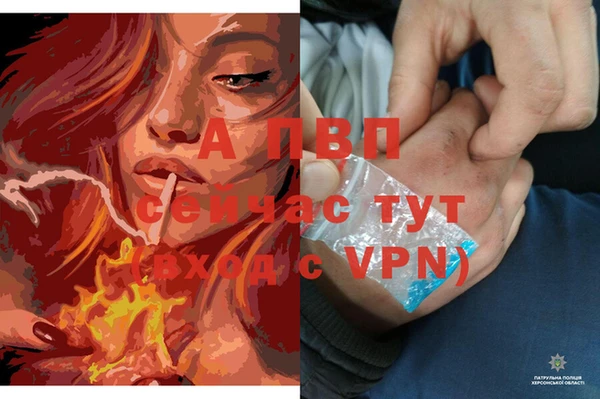 spice Абинск