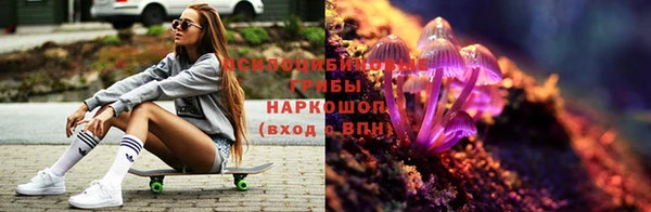 амф Сатка